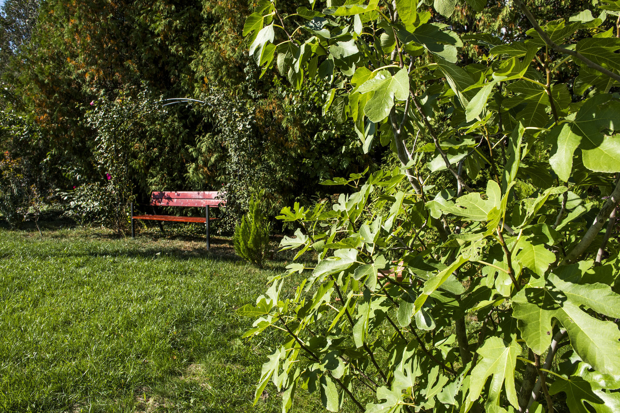Feng Shui Wellness Apartmanhaz Hévíz Exteriér fotografie