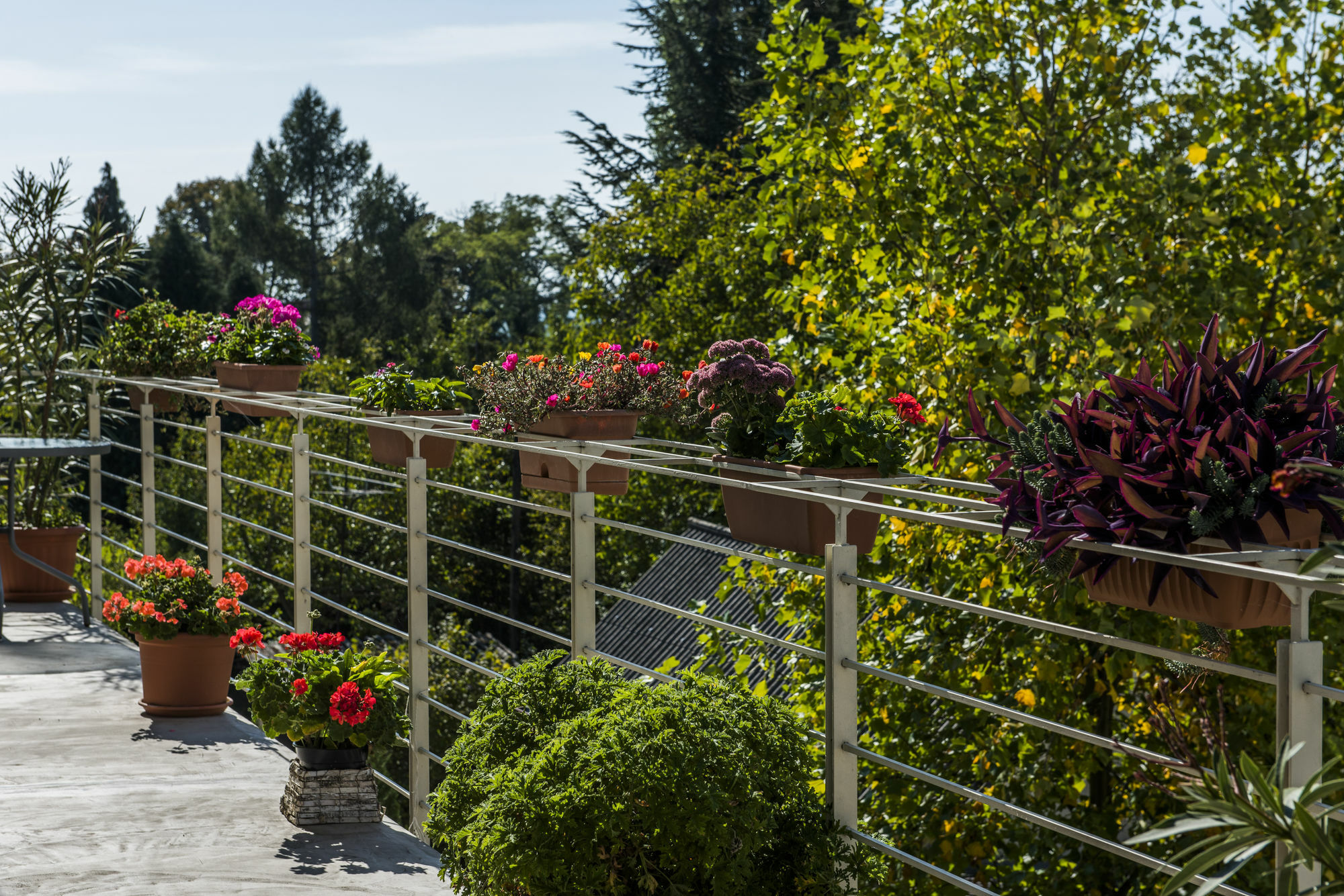 Feng Shui Wellness Apartmanhaz Hévíz Exteriér fotografie