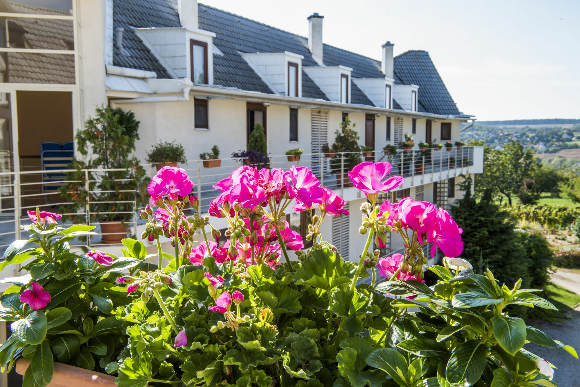 Feng Shui Wellness Apartmanhaz Hévíz Exteriér fotografie